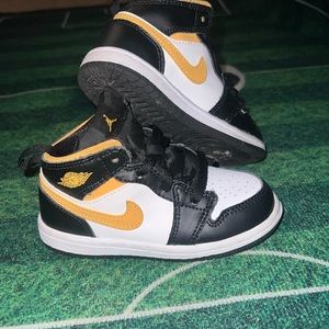 Air Jordan 1 Retro High